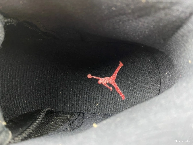 Flu Jordan 12 Game Retro 130690-002 (2016) 1103